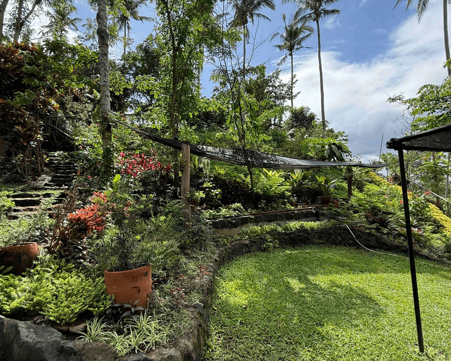 Dakong Marikit Farm produce
